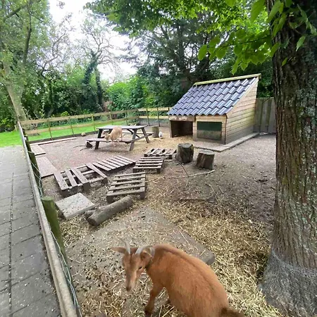 Farm stay La Luna - Desi *