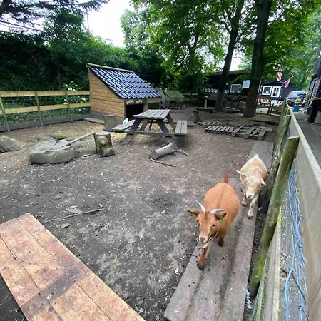 La Luna - Desi Gospodarstwo agroturystyczne Heerhugowaard